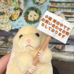 🥳 小雨 受付中です🥳