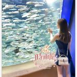 妖艶系