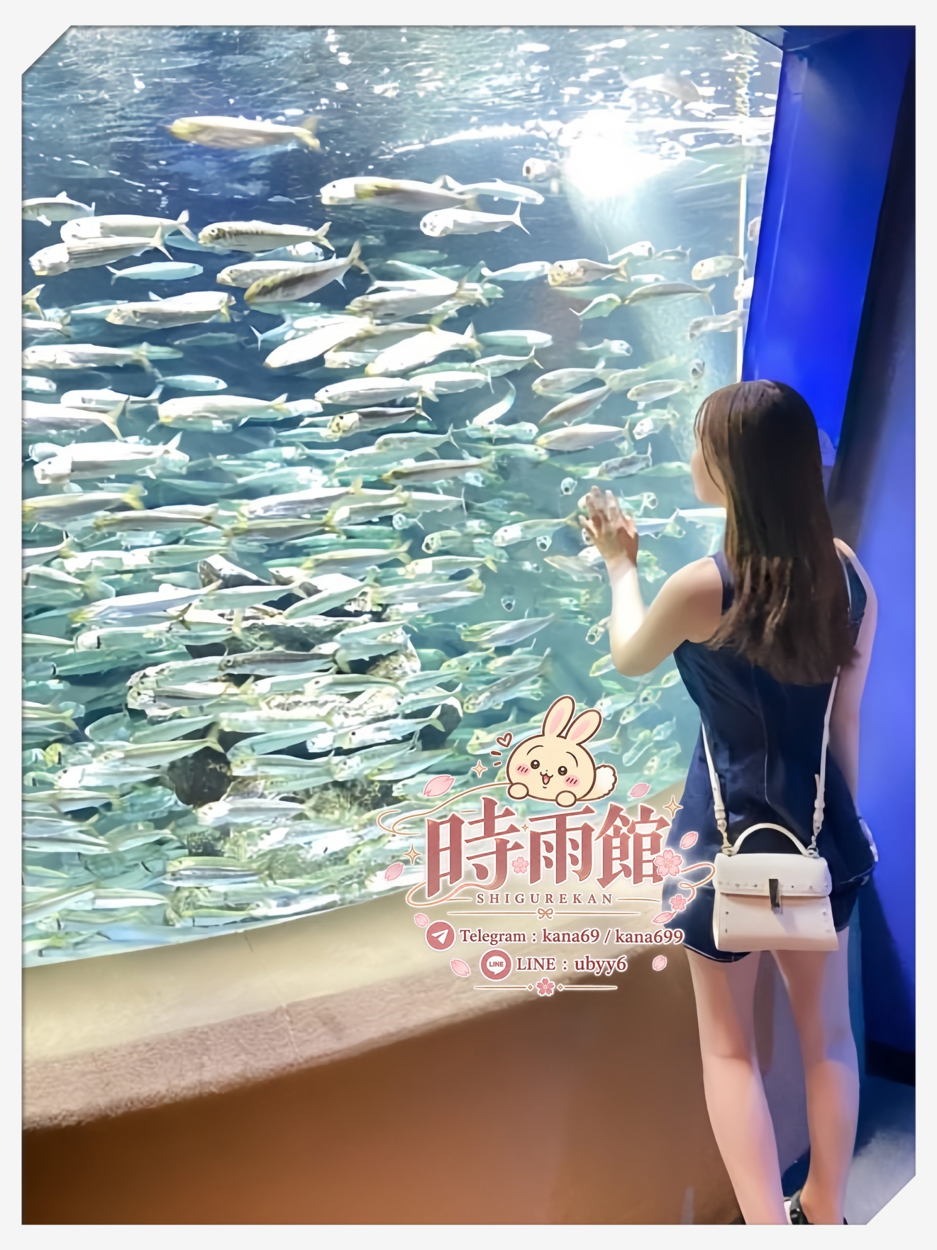 妖艶系